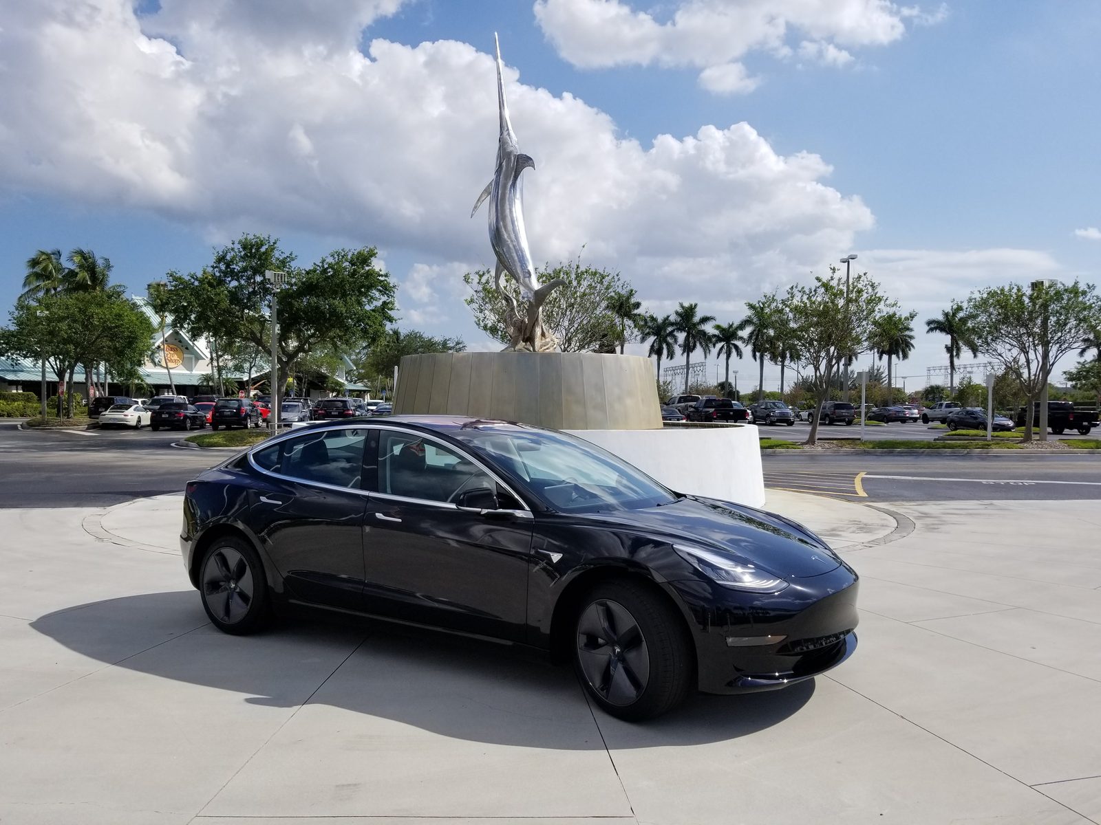 Tesla Model 3 with cameras that see the road